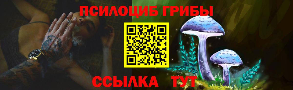 Галлюциногенные грибы GOLDEN TEACHER  Вход с VPN  купить   Кудрово 